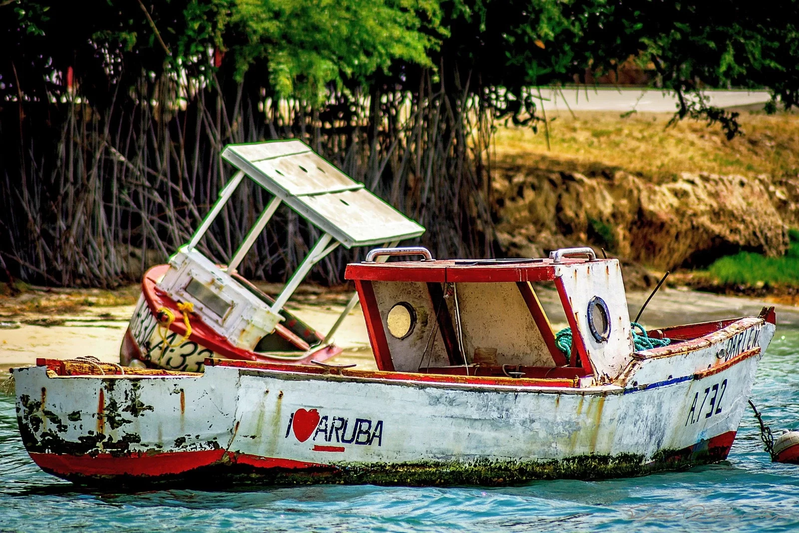 The Day the Boats Disappeared: A Journey Through Memory and Time